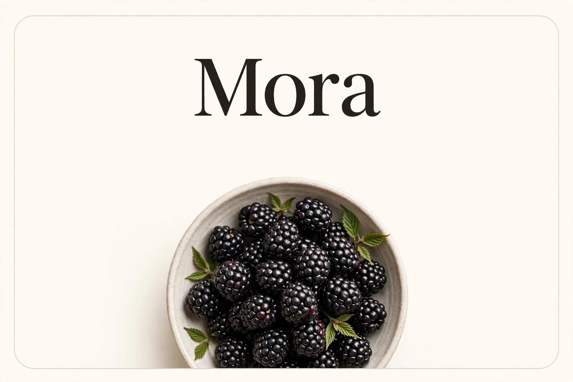 Mora